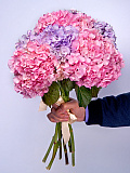 ����� ���� �� ���������